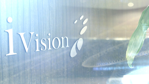 株式会社アイヴィジョン